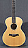 Taylor GC8 Bluestick