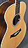 Taylor GC8 Bluestick