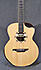 Gomans GV-S13AC + LR Baggs M80