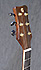 Gomans GV-S13AC + LR Baggs M80