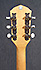 Fender Tim Armstrong