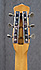 Danelectro Convertible