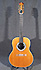 Ovation 1624