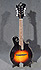 The Loar LM 420 Mandoline