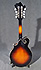 The Loar LM 420 Mandoline