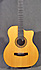 Anastasio AEP1 de 1999