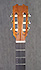 Anastasio AEP1 de 1999
