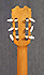 Anastasio AEP1 de 1999
