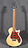 Taylor SB1
