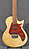 Taylor SB1