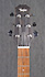 Taylor SB1