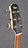 Taylor SB1