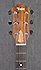 Taylor 214Ce LH