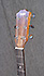 Taylor 214Ce LH