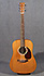 Martin D-1