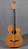 Taylor NS-32Ce