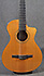 Taylor NS-32Ce