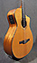 Taylor NS-32Ce