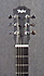 Taylor BT-2