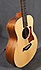 Taylor GS Mini ERW