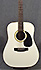 Takamine CF255