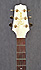 Takamine CF255