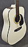 Takamine CF255