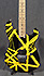 EVH Stripped