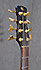 Veillette Citron Bass 8