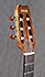 Yamaha APX 9A