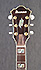 Ibanez AS 103