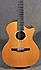 Taylor NS74CE