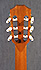 Taylor NS74CE