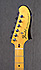Fender Starcaster