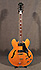 Epiphone Riviera Nick Valensi