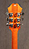 Epiphone Riviera Nick Valensi