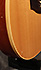 Godin LR Baggs