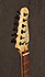 Godin LR Baggs
