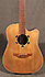 Takamine EN 10 C Japan