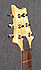 PRS CE 22 Aniversary