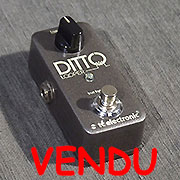 tc electronic Ditto Looper D12613 tc electronic Ditto Looper