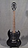 Epiphone SG 310