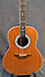 Ovation 1717