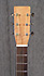 Vendramini Dreadnought