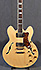 Epiphone Sheraton II