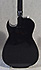 Washburn ES 20 CE Eric Sardinas