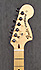 Fender Stratocaster American Special