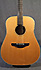 Takamine EN-10 LH