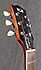 FGN Les Paul Neo Classic