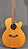 Takamine Santa Fe LTD 97